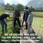 đo vẽ chuyển mục đích sử dụng đất tại Hải Phòng